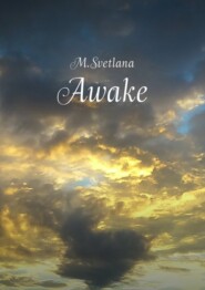 бесплатно читать книгу Awake. Сборник рассказов автора  M.Svetlana