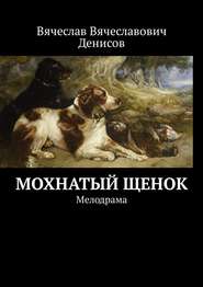 бесплатно читать книгу Мохнатый щенок. Мелодрама автора Вячеслав Денисов