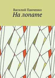 бесплатно читать книгу На лопате автора Василий Панченко
