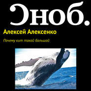 бесплатно читать книгу Почему кит такой большой автора Лиза Питеркина