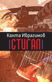 бесплатно читать книгу Стигал автора Канта Ибрагимов