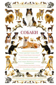 бесплатно читать книгу Собаки. Иллюстрированный гид автора Ирина Барановская