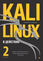 бесплатно читать книгу Аудит безопасности информационных систем (pdf+epub) автора Никита Скабцов