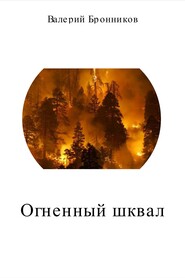 бесплатно читать книгу Огненный шквал автора Валерий Бронников