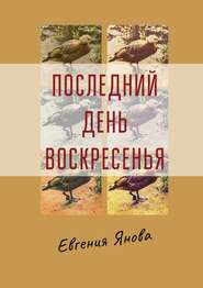 бесплатно читать книгу Последний день воскресенья автора Евгения Янова