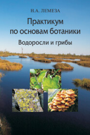 бесплатно читать книгу Практикум по основам ботаники. Водоросли и грибы автора Николай Лемеза
