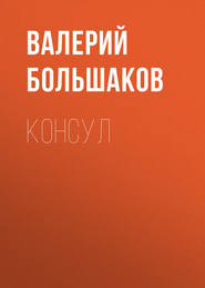 бесплатно читать книгу Консул автора Валерий Большаков