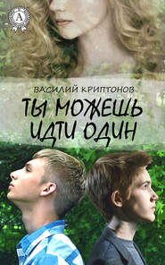 бесплатно читать книгу Ты можешь идти один автора Василий Криптонов