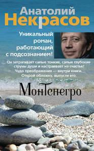 бесплатно читать книгу Монтенегро автора Анатолий Некрасов