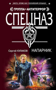 бесплатно читать книгу Напарник автора Сергей Кулаков
