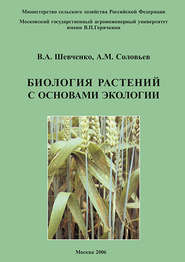 бесплатно читать книгу Биология растений с основами экологии автора В. Шевченко