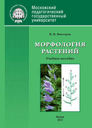 бесплатно читать книгу Морфология растений автора Владимир Викторов