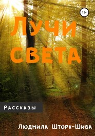 бесплатно читать книгу Лучи света автора Людмила Шторк-Шива