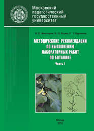 бесплатно читать книгу Методические рекомендации по выполнению лабораторных работ по ботанике. Часть 1 автора Владимир Годин
