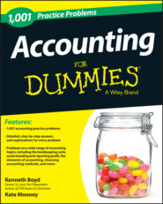 бесплатно читать книгу 1,001 Accounting Practice Problems For Dummies автора Kate Mooney