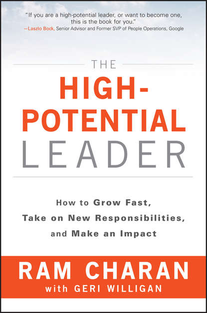 The High-Potential Leader. How to Grow Fast, Take on New Responsibilities, and Make an Impact