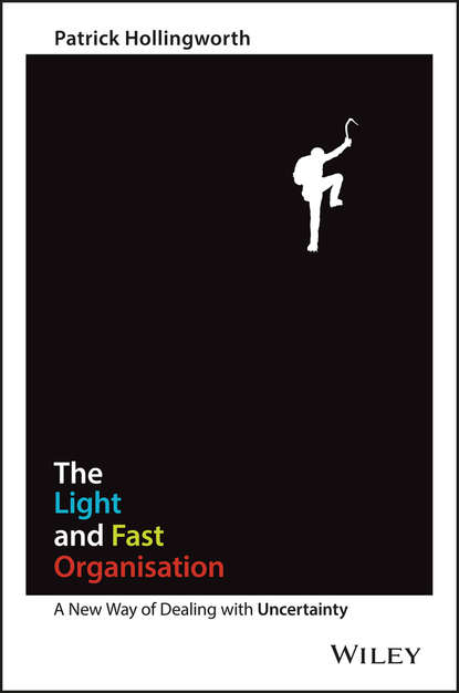 The Light and Fast Organisation. A New Way of Dealing with Uncertainty