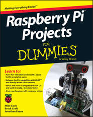 бесплатно читать книгу Raspberry Pi Projects For Dummies автора Jonathan Evans