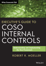 бесплатно читать книгу Executive's Guide to COSO Internal Controls. Understanding and Implementing the New Framework автора Robert R. Moeller