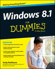 бесплатно читать книгу Windows 8.1 For Dummies автора Andy Rathbone