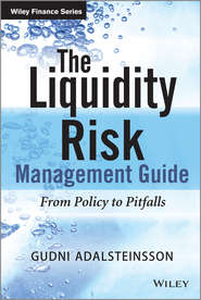 бесплатно читать книгу The Liquidity Risk Management Guide. From Policy to Pitfalls автора Gudni Adalsteinsson