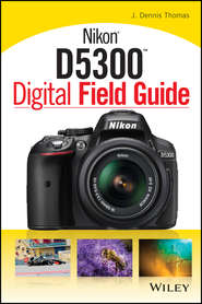 бесплатно читать книгу Nikon D5300 Digital Field Guide автора J. Thomas