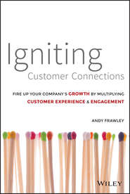 бесплатно читать книгу Igniting Customer Connections. Fire Up Your Company's Growth By Multiplying Customer Experience and Engagement автора Andrew Frawley