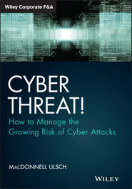 бесплатно читать книгу Cyber Threat!. How to Manage the Growing Risk of Cyber Attacks автора MacDonnell Ulsch