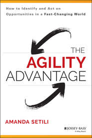 бесплатно читать книгу The Agility Advantage. How to Identify and Act on Opportunities in a Fast-Changing World автора Amanda Setili