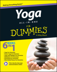 бесплатно читать книгу Yoga All-In-One For Dummies автора Stephan Bodian