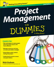 бесплатно читать книгу Project Management for Dummies - UK автора Nick Graham