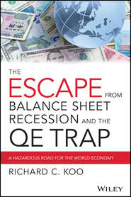 бесплатно читать книгу The Escape from Balance Sheet Recession and the QE Trap. A Hazardous Road for the World Economy автора Richard Koo