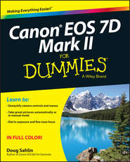 бесплатно читать книгу Canon EOS 7D Mark II For Dummies автора Doug Sahlin