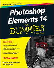 бесплатно читать книгу Photoshop Elements 14 For Dummies автора Barbara Obermeier