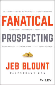 бесплатно читать книгу Fanatical Prospecting. The Ultimate Guide to Opening Sales Conversations and Filling the Pipeline by Leveraging Social Selling, Telephone, Email, Text, and Cold Calling автора Jeb Blount