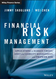 бесплатно читать книгу Financial Risk Management. Applications in Market, Credit, Asset and Liability Management and Firmwide Risk автора Wei Chen