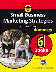 бесплатно читать книгу Small Business Marketing Strategies All-In-One For Dummies автора Consumer Dummies