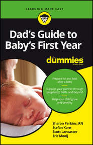 бесплатно читать книгу Dad's Guide to Baby's First Year For Dummies автора Sharon Perkins