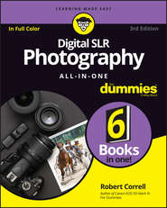 бесплатно читать книгу Digital SLR Photography All-in-One For Dummies автора Robert Correll