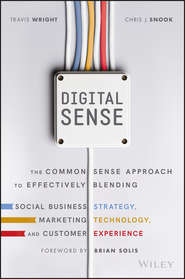 бесплатно читать книгу Digital Sense. The Common Sense Approach to Effectively Blending Social Business Strategy, Marketing Technology, and Customer Experience автора Brian Solis