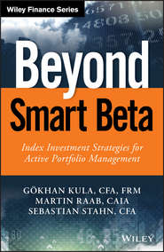 бесплатно читать книгу Beyond Smart Beta. Index Investment Strategies for Active Portfolio Management автора Martin Raab