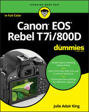 бесплатно читать книгу Canon EOS Rebel T7i/800D For Dummies автора Julie King