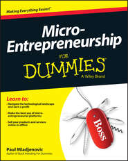 бесплатно читать книгу Micro-Entrepreneurship For Dummies автора Paul Mladjenovic