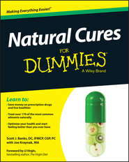 бесплатно читать книгу Natural Cures For Dummies автора Joe Kraynak