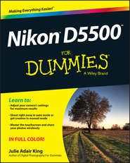бесплатно читать книгу Nikon D5500 For Dummies автора Julie King