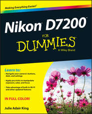 бесплатно читать книгу Nikon D7200 For Dummies автора Julie King