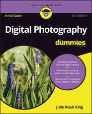 бесплатно читать книгу Digital Photography For Dummies автора Julie King