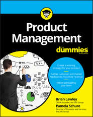 бесплатно читать книгу Product Management For Dummies автора Brian Lawley