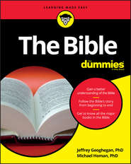 бесплатно читать книгу The Bible For Dummies автора Jeffrey Geoghegan
