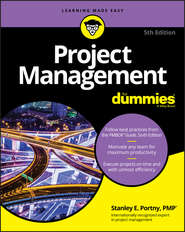 бесплатно читать книгу Project Management For Dummies автора Stanley Portny